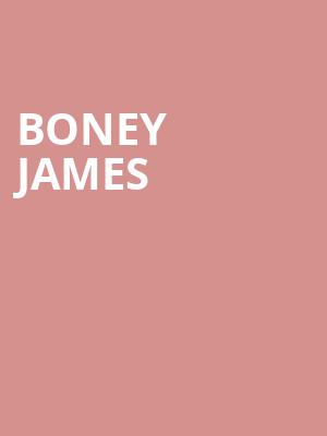 Boney James, North Carolina Museum Of Art, Raleigh