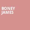 Boney James, North Carolina Museum Of Art, Raleigh