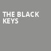The Black Keys, Coastal Credit Union Music Park, Raleigh
